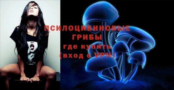 эйфоретик Вязьма